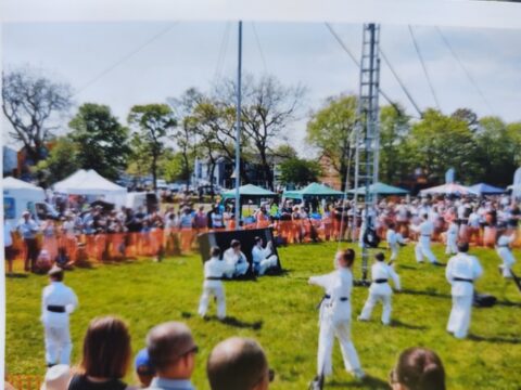 Community Day 2018 karate display